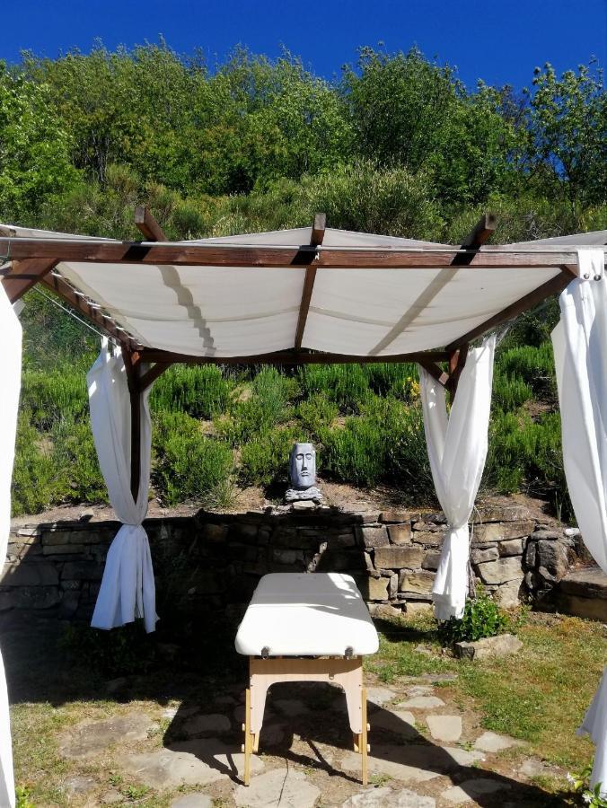 Le Ginestre Guesthouse 아시시 외부 사진