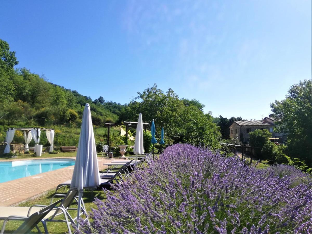 Le Ginestre Guesthouse 아시시 외부 사진