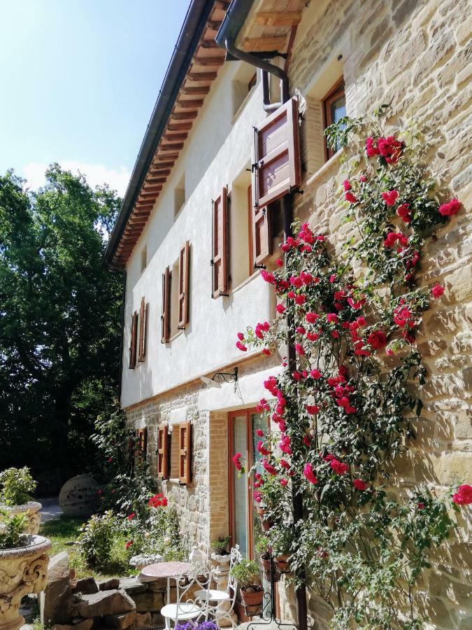 Le Ginestre Guesthouse 아시시 외부 사진